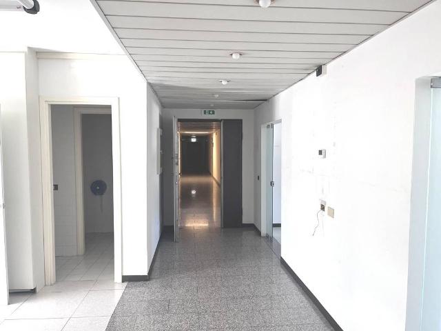 Locale Commerciale in affitto a Mezzana, Prato