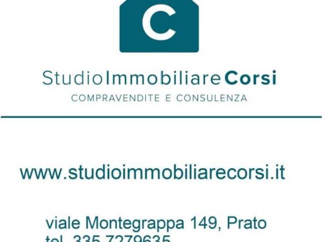 Locale Commerciale in affitto a Santa Gonda, Prato