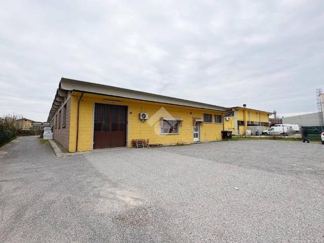 Locale Commerciale in affitto a Via Nova, Pieve A Nievole
