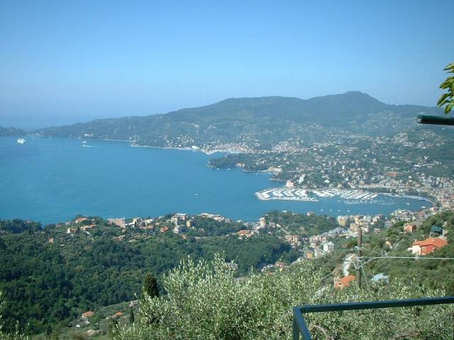 Locale Commerciale in affitto a San Michele di Pagana, Rapallo