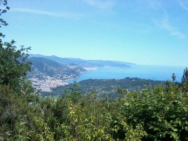 Locale Commerciale in affitto a Cappelletta, Rapallo