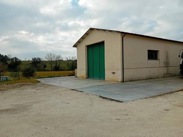 Locale Commerciale in affitto a Contrada Saletta, Marche
