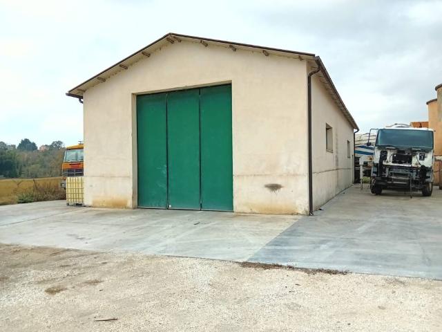 Locale Commerciale in affitto a Contrada Saletta, Marche
