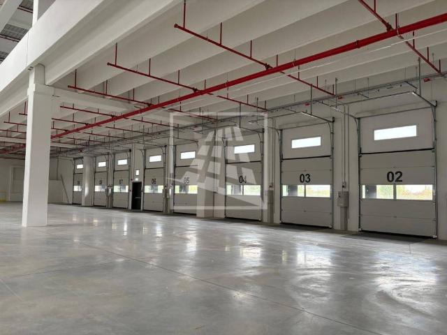 Locale Commerciale in affitto a Bassa Reggiana, Re