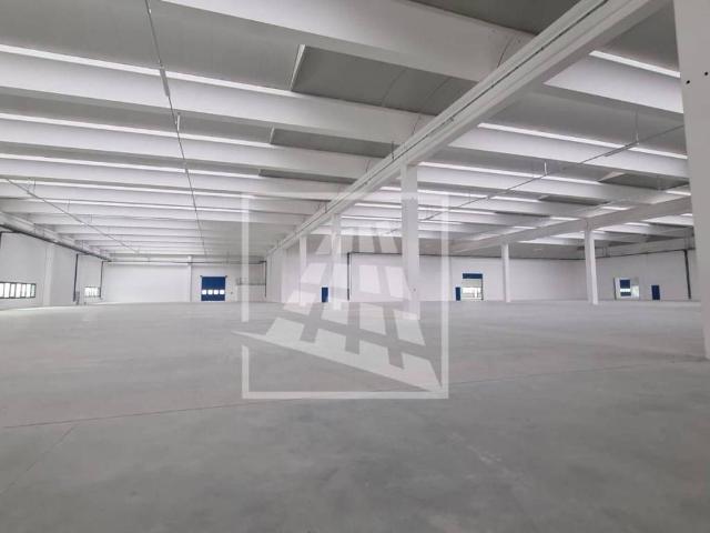 Locale Commerciale in affitto a Bassa Reggiana, Re