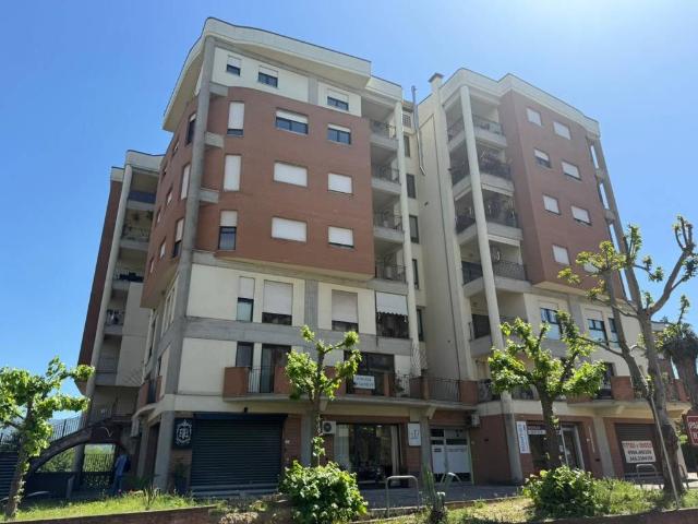 Locale Commerciale in affitto a Calabria, Cosenza
