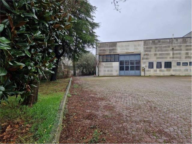 Locale Commerciale in affitto a Viserba Monte, Rimini