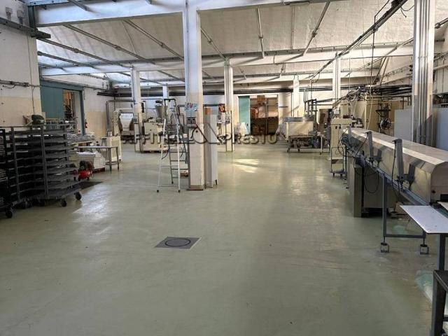 Locale Commerciale in affitto a Unione di Comuni della Romagna Forlivese, Rocca San Casciano