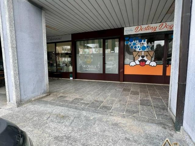 Locale Commerciale in affitto a Rodano, Lombardia