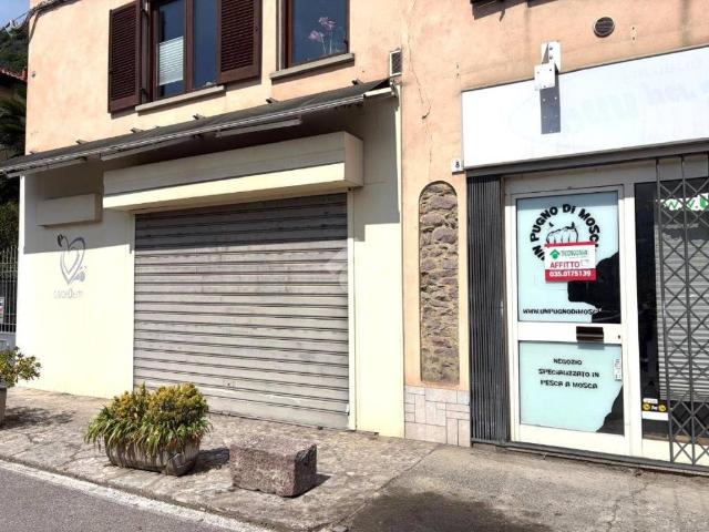 Locale Commerciale in affitto a Rogno, Lombardia
