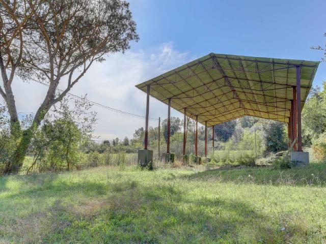 Locale Commerciale in affitto a Municipio Roma XIII, Roma Capitale