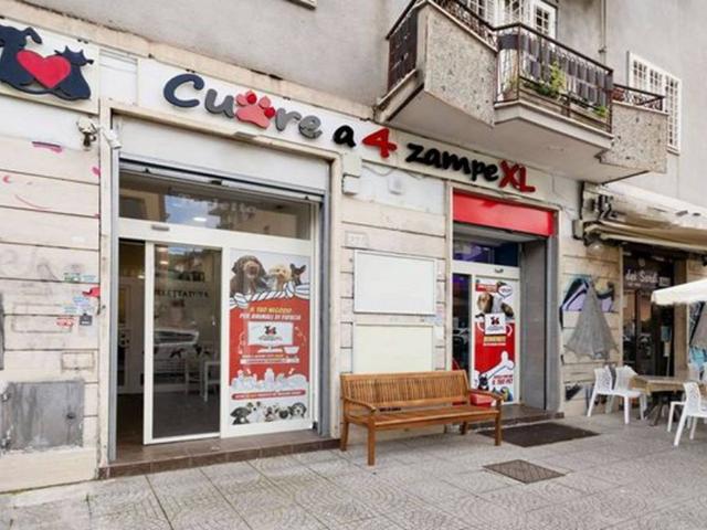 Locale Commerciale in affitto a Municipio Roma V, Roma Capitale