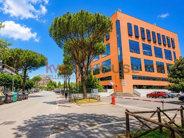 Locale Commerciale in affitto a Casale Prima Porta, Roma Capitale