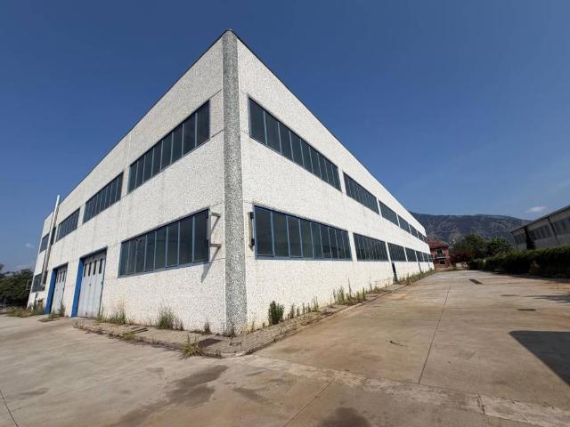 Locale Commerciale in affitto a Piemonte, Torino