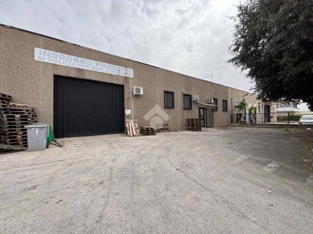 Locale Commerciale in affitto a Sabaudia, Lazio