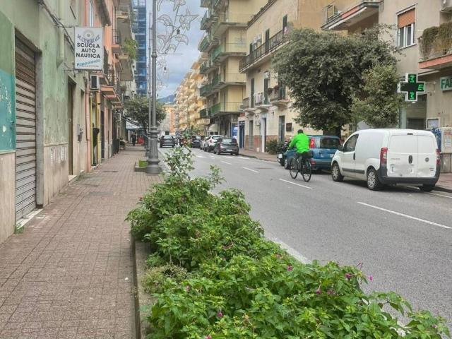 Locale Commerciale in affitto a Pastena, Salerno