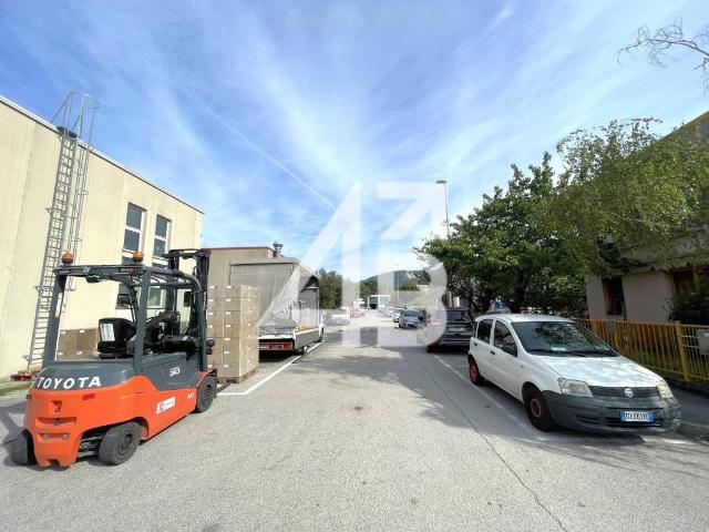 Locale Commerciale in affitto a Dolina, San Dorligo Della Valle