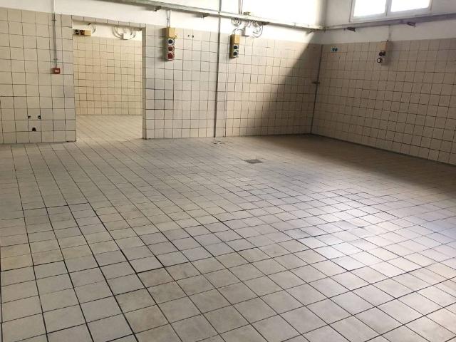Locale Commerciale in affitto a Colignola, San Giuliano Terme