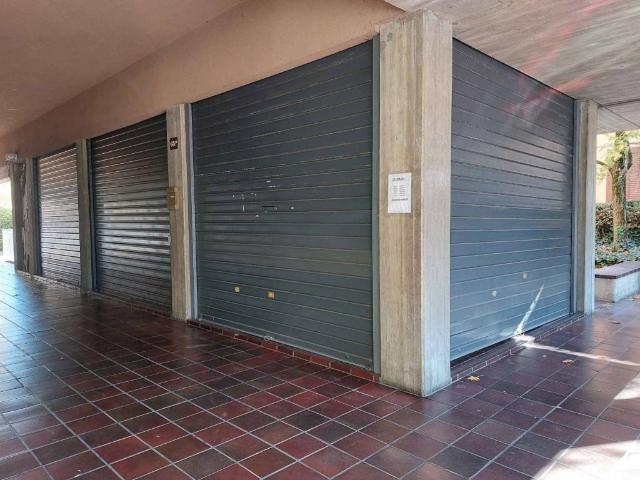 Locale Commerciale in affitto a Cicogna, San Lazzaro