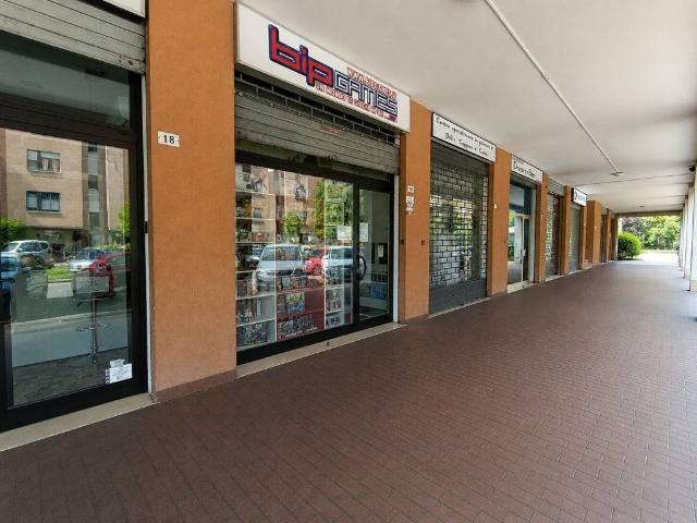 Locale Commerciale in affitto a Cicogna, San Lazzaro