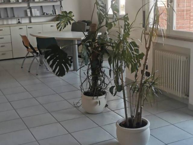 Locale Commerciale in affitto a Serravalle