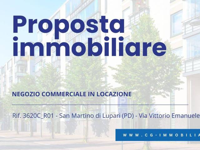 Locale Commerciale in affitto a San Martino Di Lupari, Veneto