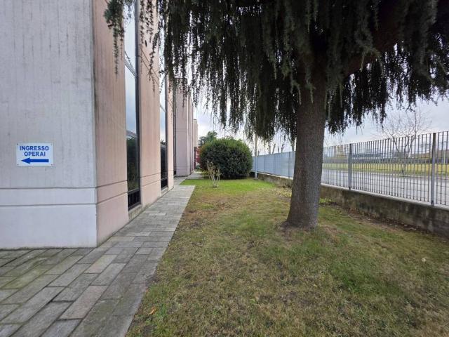 Locale Commerciale in affitto a Pescarito, Piemonte