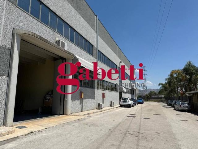 Locale Commerciale in affitto a San Nicola La Strada, Campania