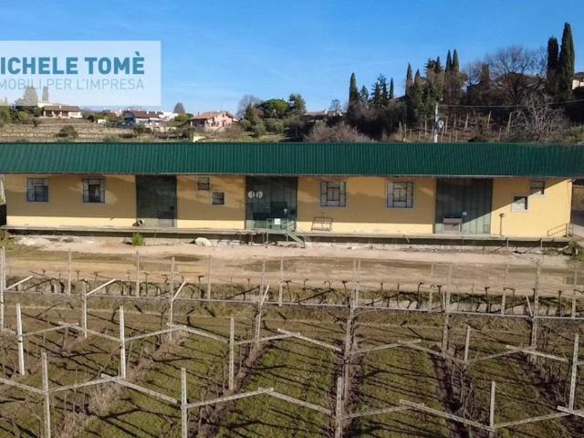 Locale Commerciale in affitto a San Pietro In Cariano, Veneto