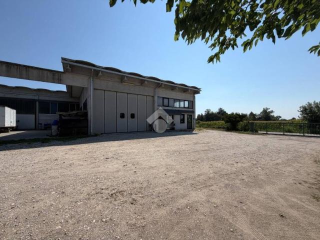 Locale Commerciale in affitto a Fonte, San Zenone Degli Ezzelini