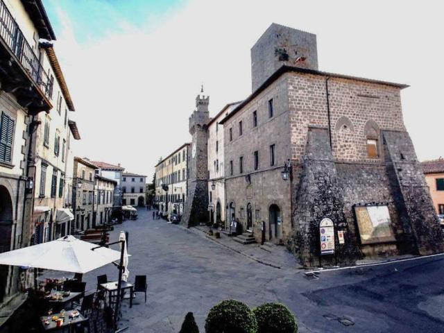 Locale Commerciale in affitto a Unione dei Comuni Montani Amiata Grossetana, Santa Fiora