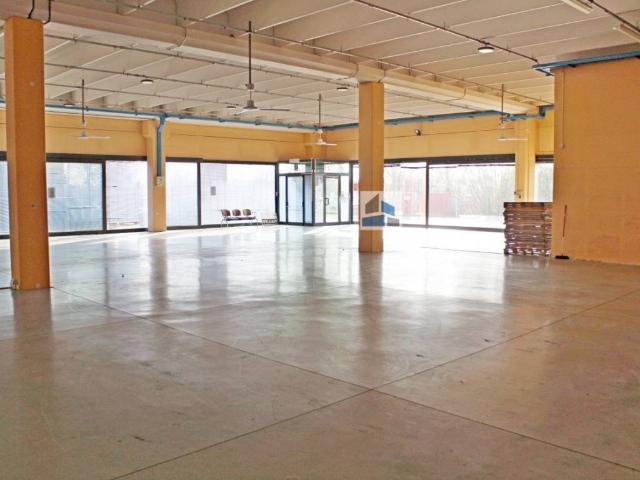 Locale Commerciale in affitto a Caselle de' Ruffi, Villanova Di Camposanpiero