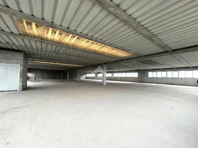 Locale Commerciale in affitto a Sant'angelo Di Piove, Veneto