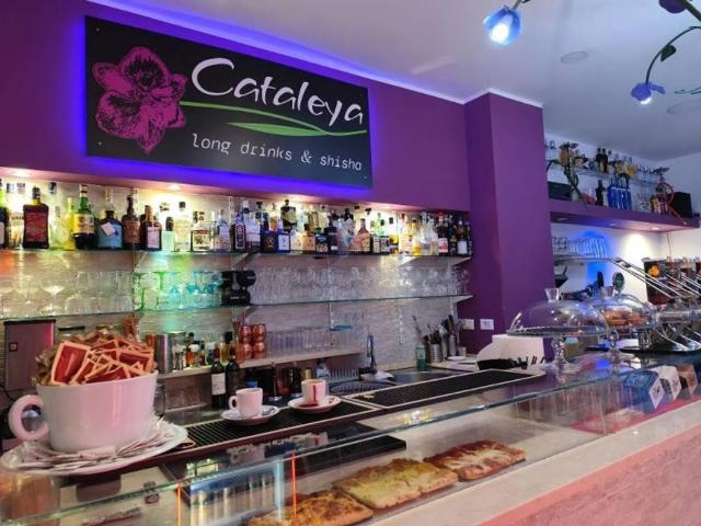 Locale Commerciale in affitto a Villetta, Albisola Capo