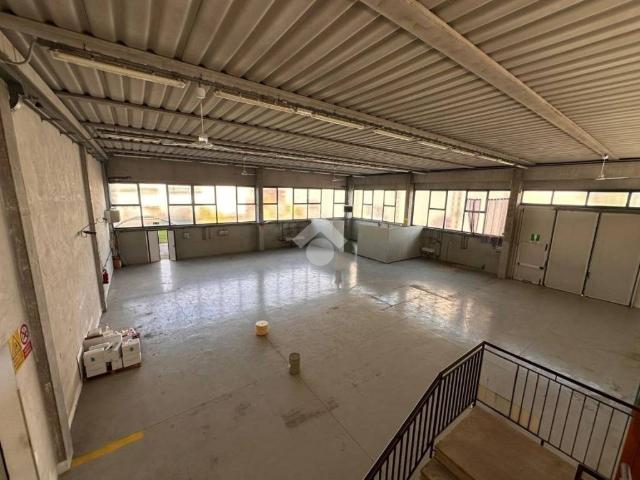 Locale Commerciale in affitto a Caselle, Selvazzano Dentro