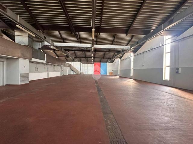 Locale Commerciale in affitto a Caselle, Selvazzano Dentro