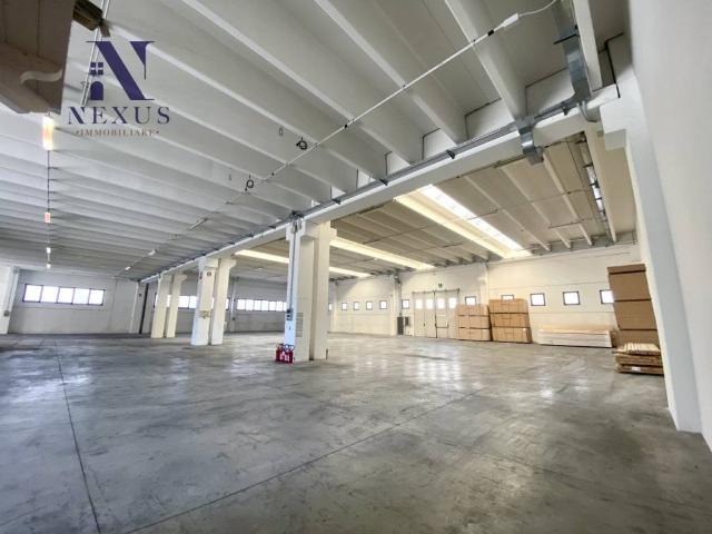 Locale Commerciale in affitto a Senigallia, Ancona