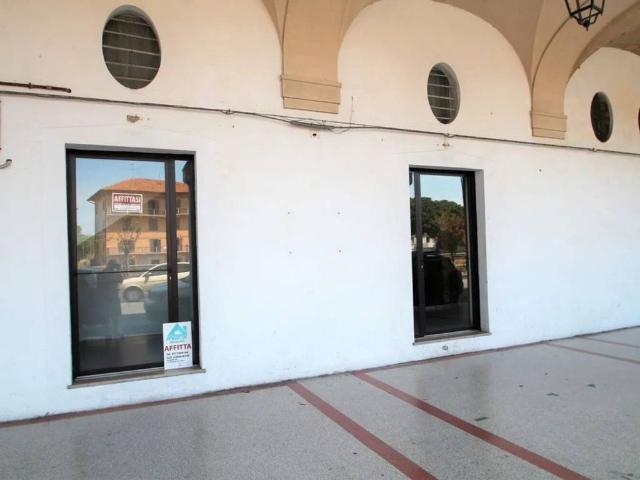 Locale Commerciale in affitto a Senigallia, Ancona