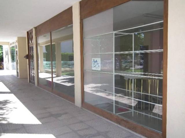 Locale Commerciale in affitto a Senigallia, Ancona