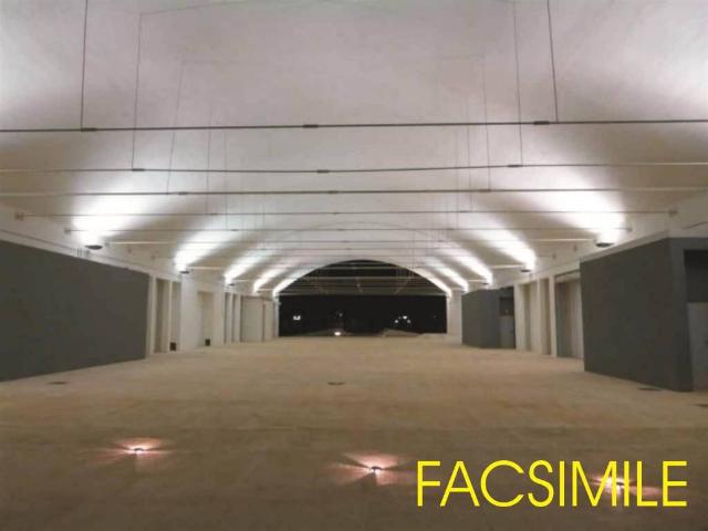 Locale Commerciale in affitto a Padule, Sesto Fiorentino