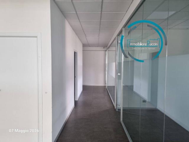 Locale Commerciale in affitto a Padule, Sesto Fiorentino