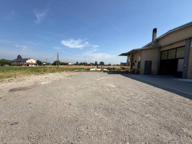 Locale Commerciale in affitto a Sissa Trecasali, Palasone