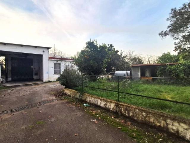 Locale Commerciale in affitto a Borgo Casamale, Somma Vesuviana