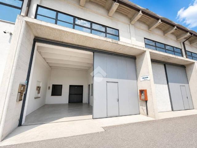 Locale Commerciale in affitto a Trebaseleghe, Veneto