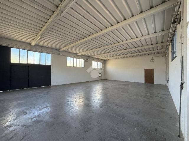 Locale Commerciale in affitto a Trebaseleghe, Veneto