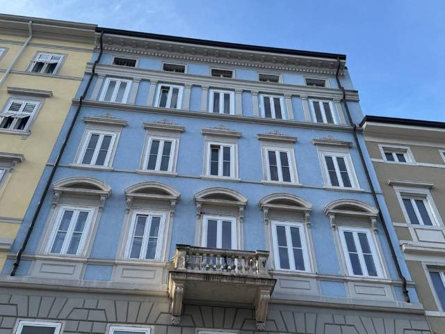 Locale Commerciale in affitto a Barriera Vecchia-San Giacomo, Villa Opicina