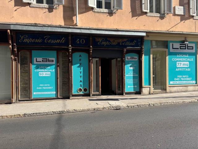 Locale Commerciale in affitto a Città Nuova-Barriera Nuova-San Vito-Città Vecchia, Villa Opicina
