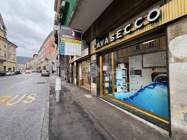 Locale Commerciale in affitto a Roiano-Gretta-Barcola-Cologna-Scorcola, Villa Opicina