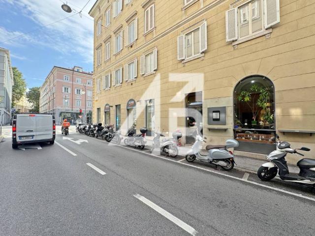 Locale Commerciale in affitto a Città Nuova-Barriera Nuova-San Vito-Città Vecchia, Villa Opicina