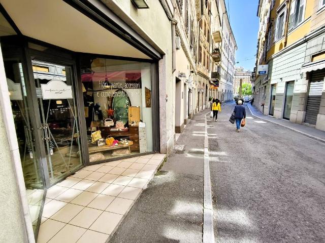 Locale Commerciale in affitto a Barriera Vecchia-San Giacomo, Villa Opicina